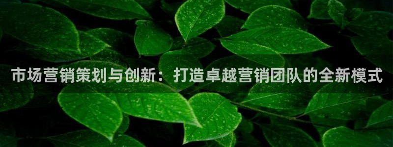 必赢官网网站首页：市场营销策划