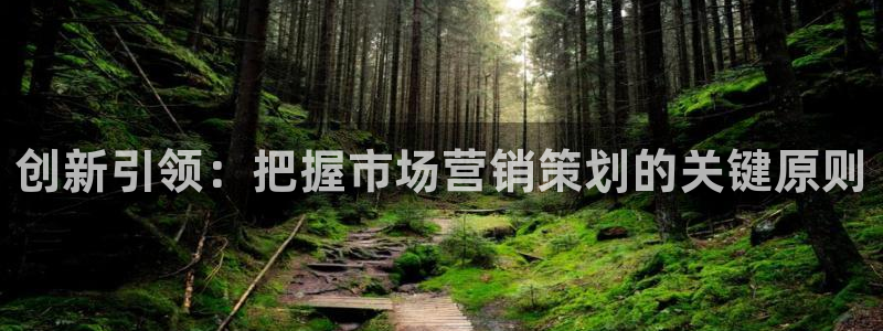 必赢棋脾9655app下载