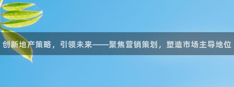 必赢565net官网网站