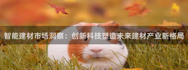 必赢7231：智能建材市场洞察