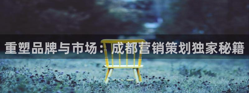 必赢下载安卓版：重塑品牌与市场