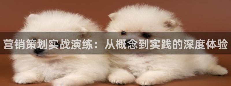 必赢网站是哪一个平台：营销策划
