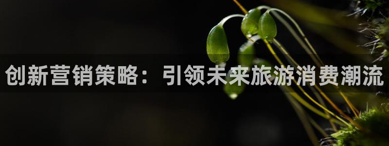 必赢官网app下载安装苹果