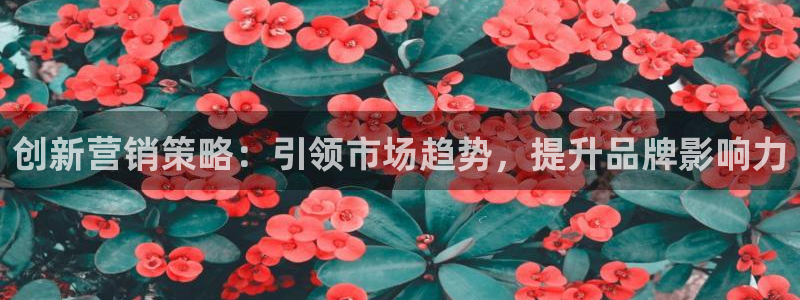 必赢官网app下载安装最新版本