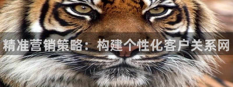 必赢线上网址是多少：精准营销策