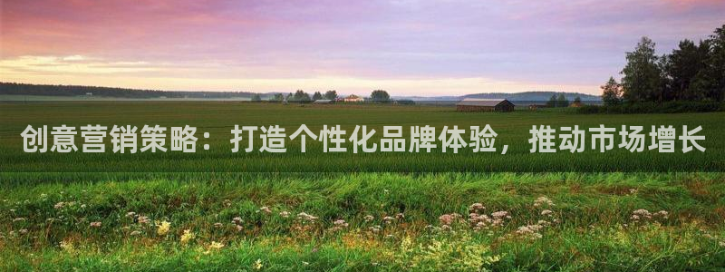 必赢国际的网站多少