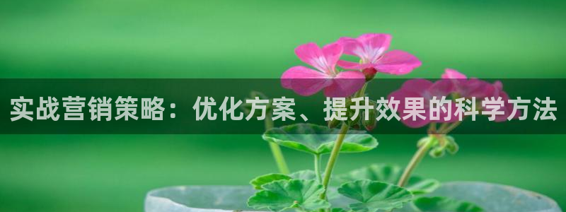 必赢下载安卓版最新版