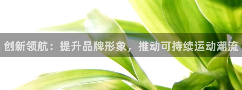 必赢棋盘app下载官网