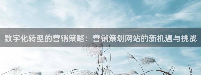 776net必赢官网