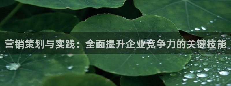 必赢平台官方网址：营销策划与实