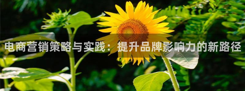 必赢7231：电商营销策略与实