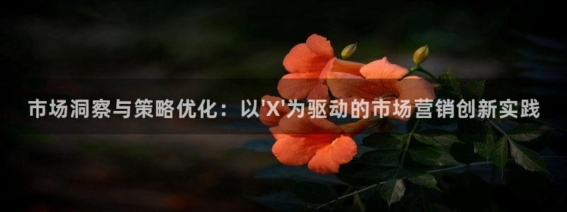 数三十游戏必赢技巧：市场洞察与