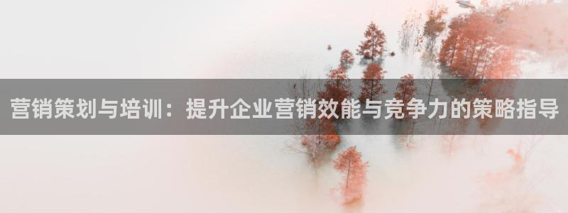 必赢官网网站