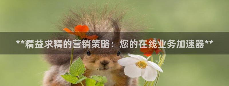 必赢活动安卓下载app