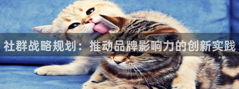必赢bwinapp