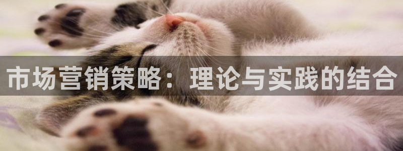 必赢国际技巧